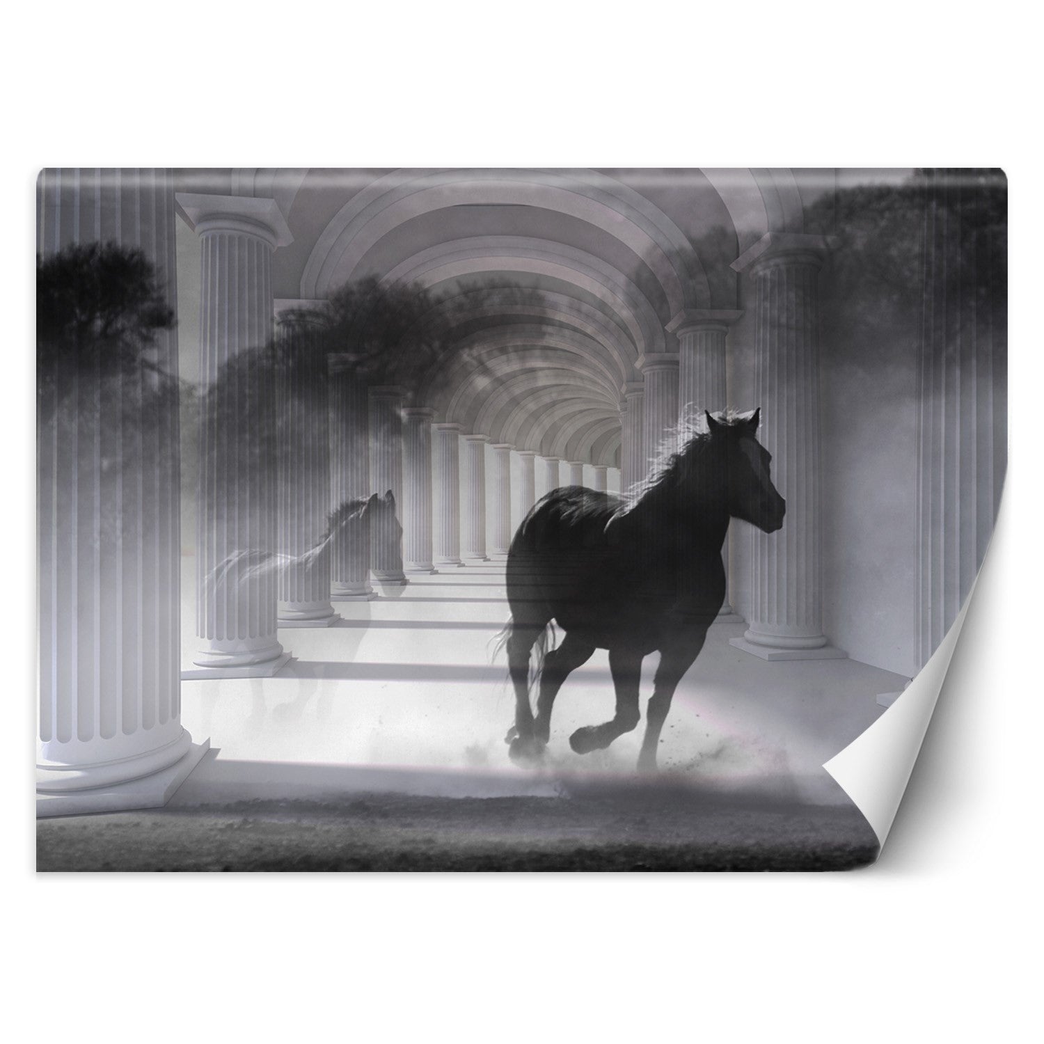 Wallpaper, Running horse, 3d effect