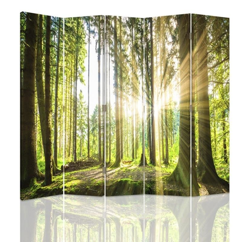 Room divider, Sun in the forest