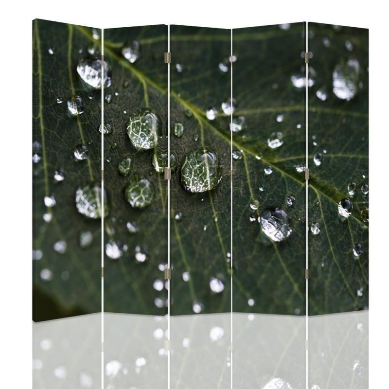 Room divider, Raindrops on a leaf