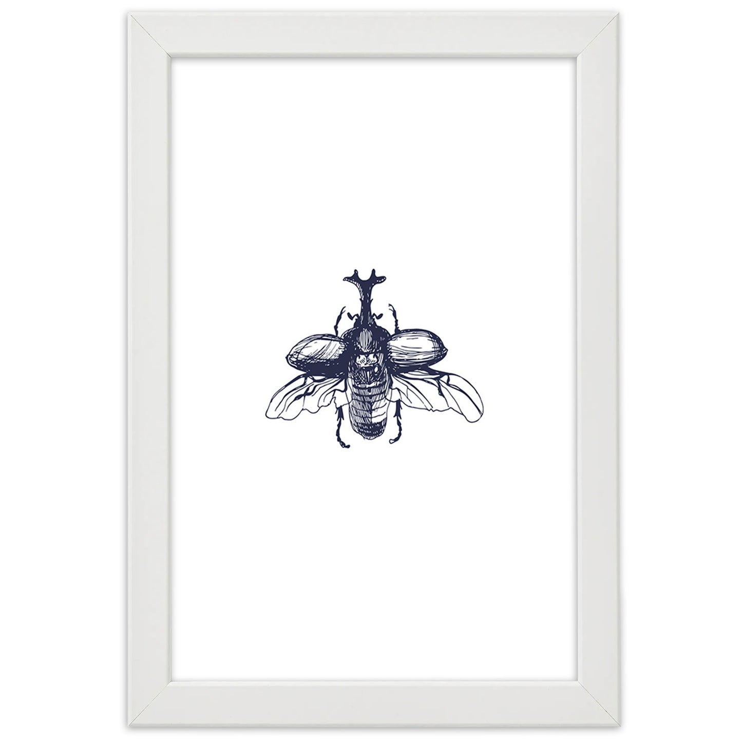 Picture in frame, Flying beetle