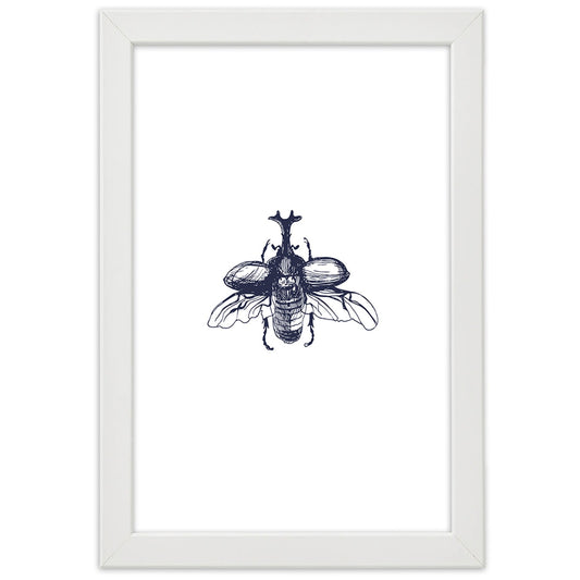 Picture in frame, Flying beetle