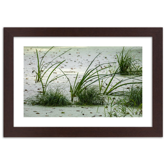 Picture in frame, Grasses on the beach