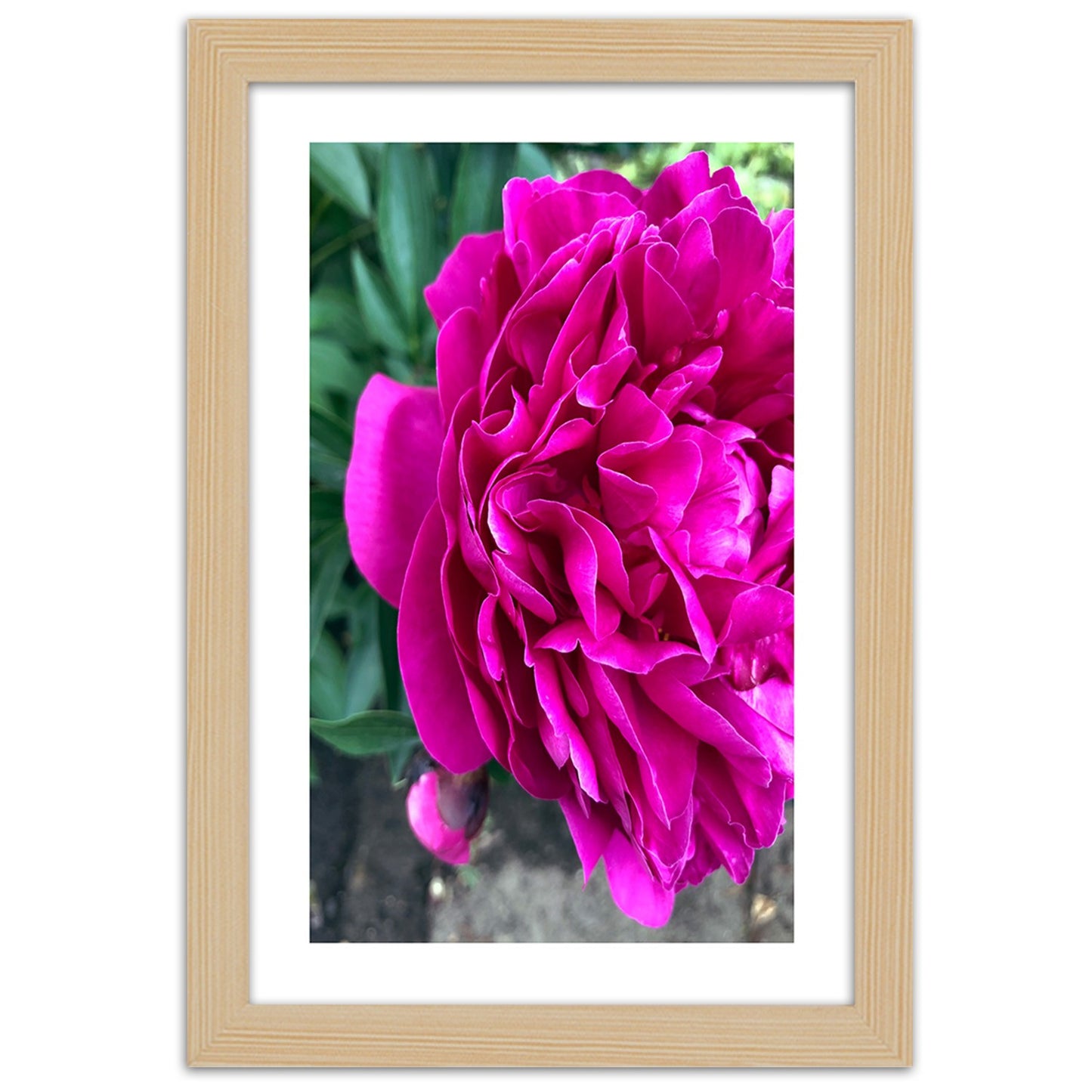 Picture in frame, Pink large flower