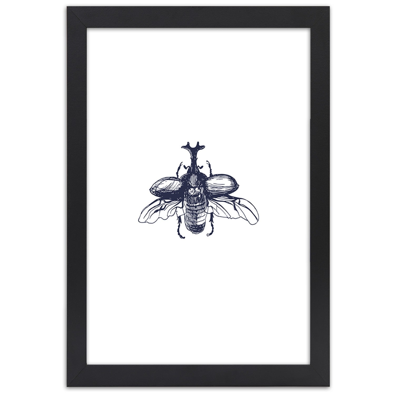 Picture in frame, Flying beetle