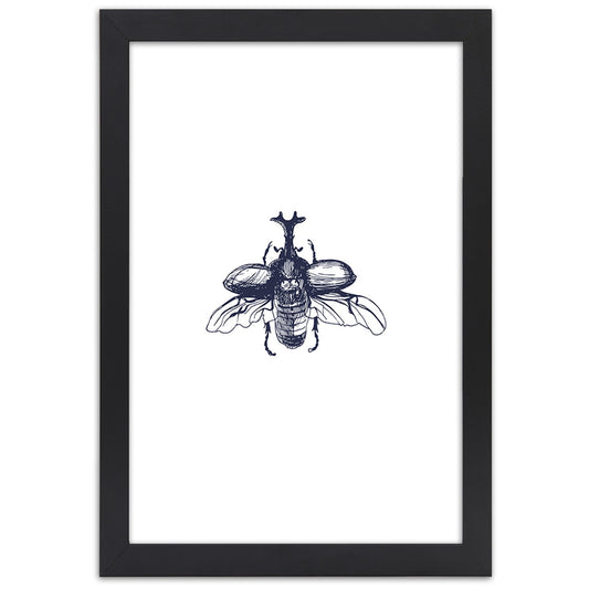 Picture in frame, Flying beetle