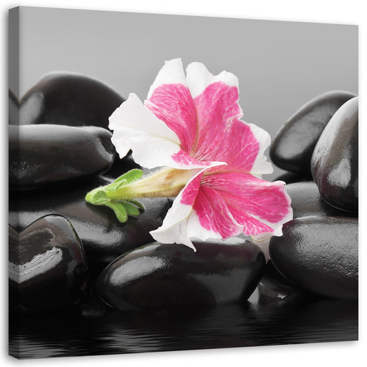 Canvas, Pink flower on stones
