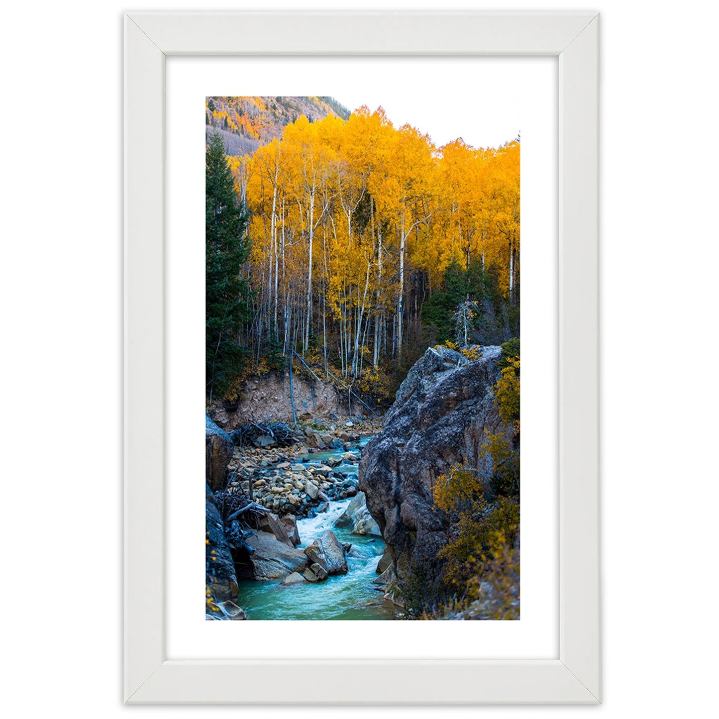 Picture in frame, A stream in the forest