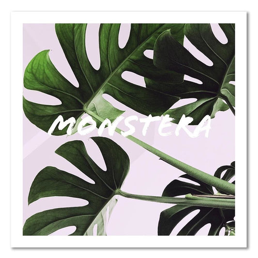 Paveikslas Ant Drobės Monstera