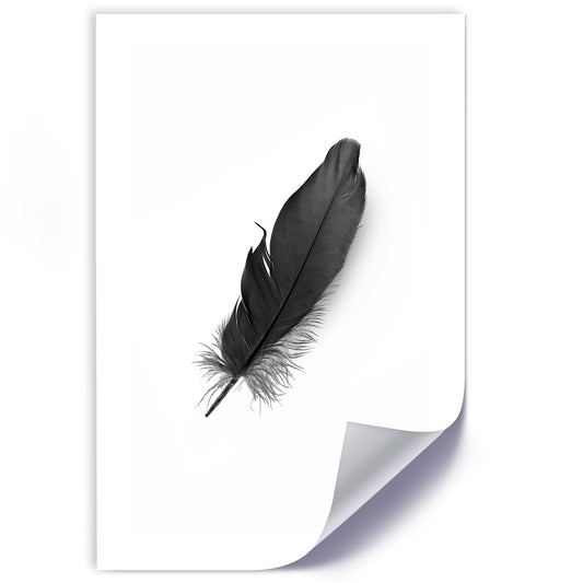 Poster, Black feather