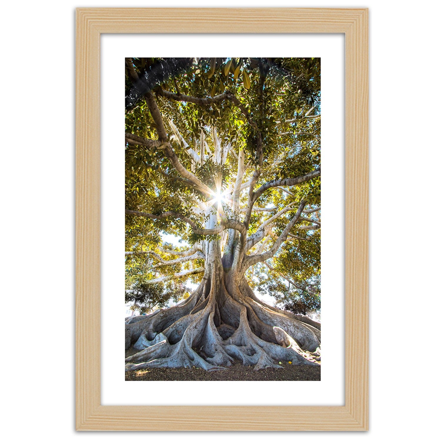 Picture in frame, Large exotic tree