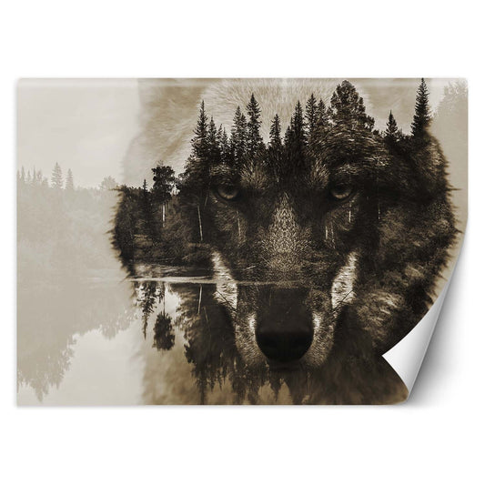 Wallpaper, Wolf on a background of a lake