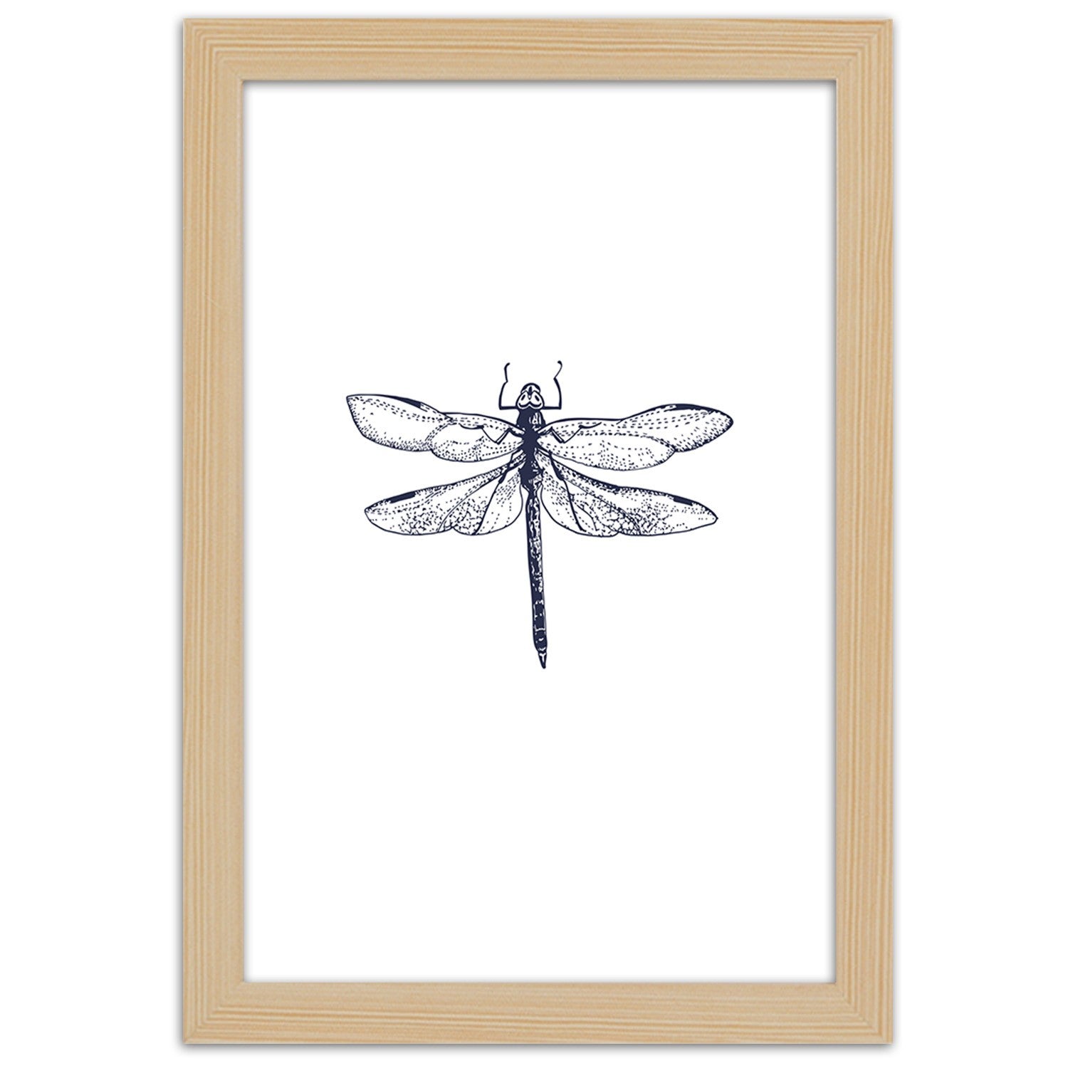 Picture in frame, Dragonfly drawn