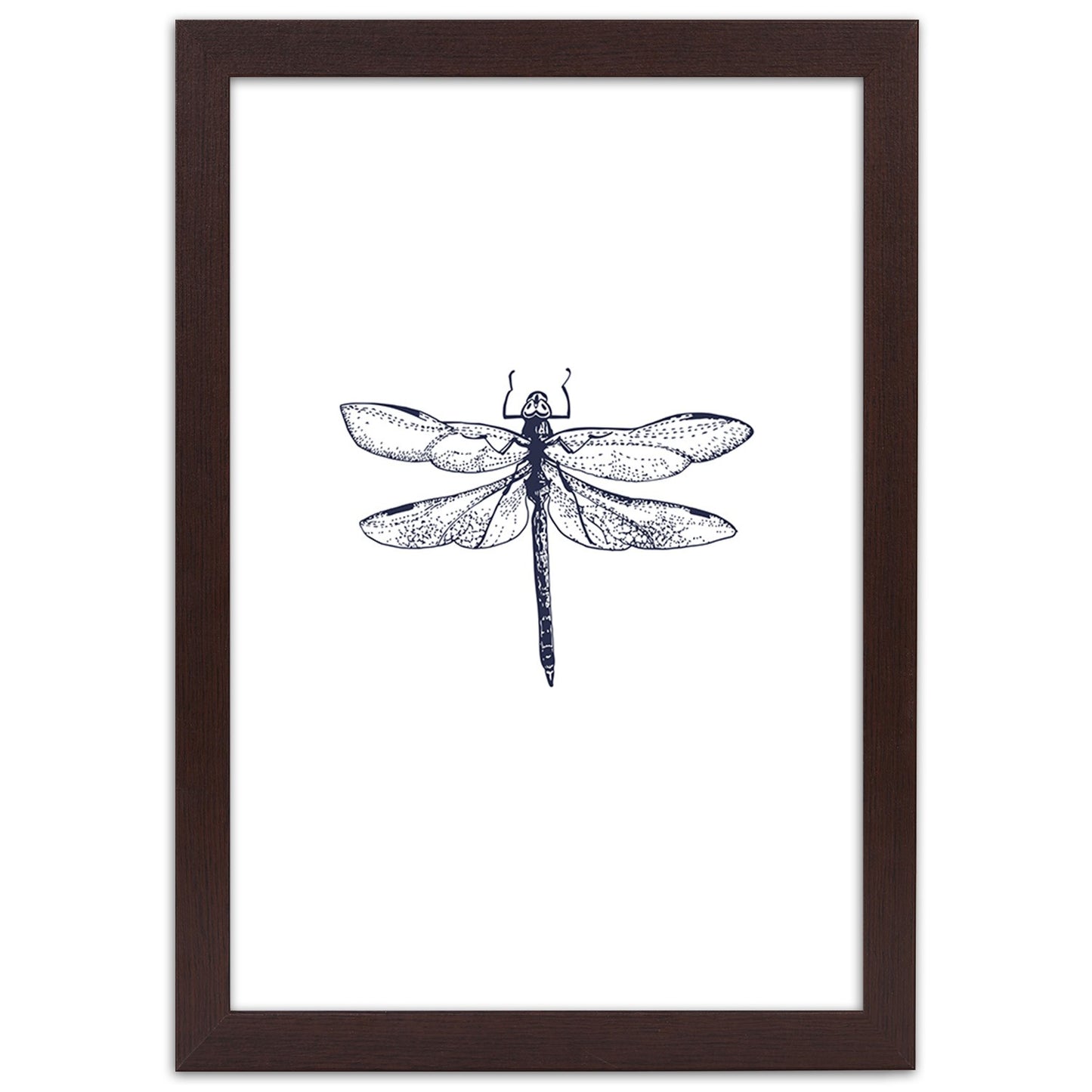 Picture in frame, Dragonfly drawn