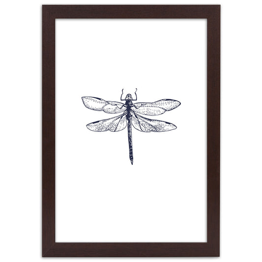 Picture in frame, Dragonfly drawn
