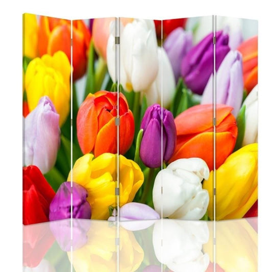 Room divider, Colorful tulips