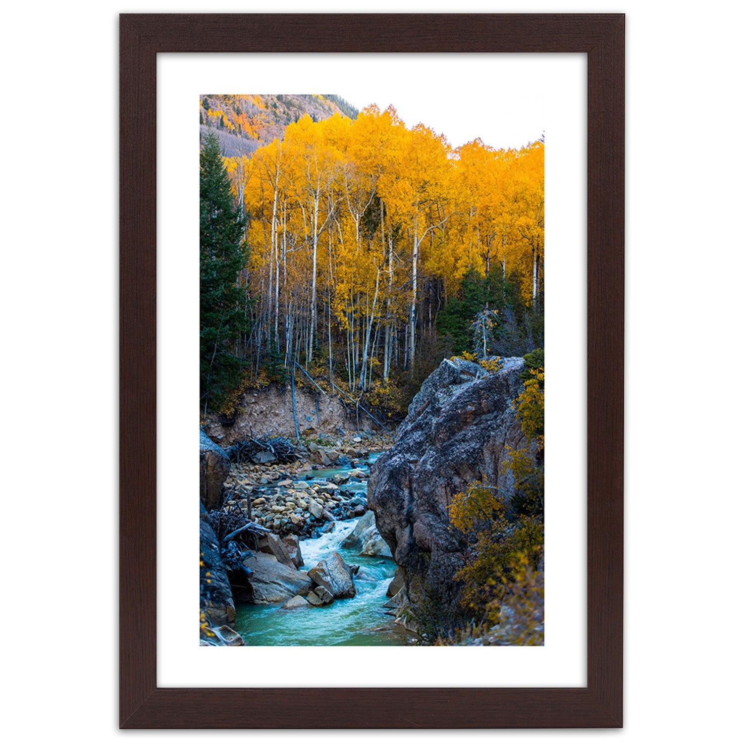 Picture in frame, A stream in the forest