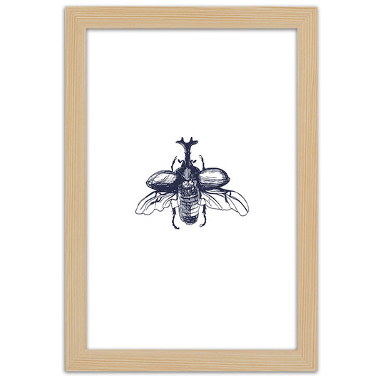 Picture in frame, Flying beetle