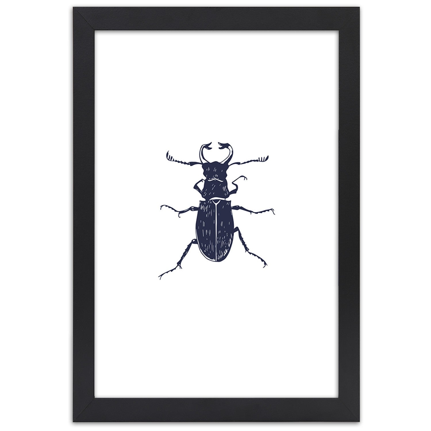 Picture in frame, Black beetle