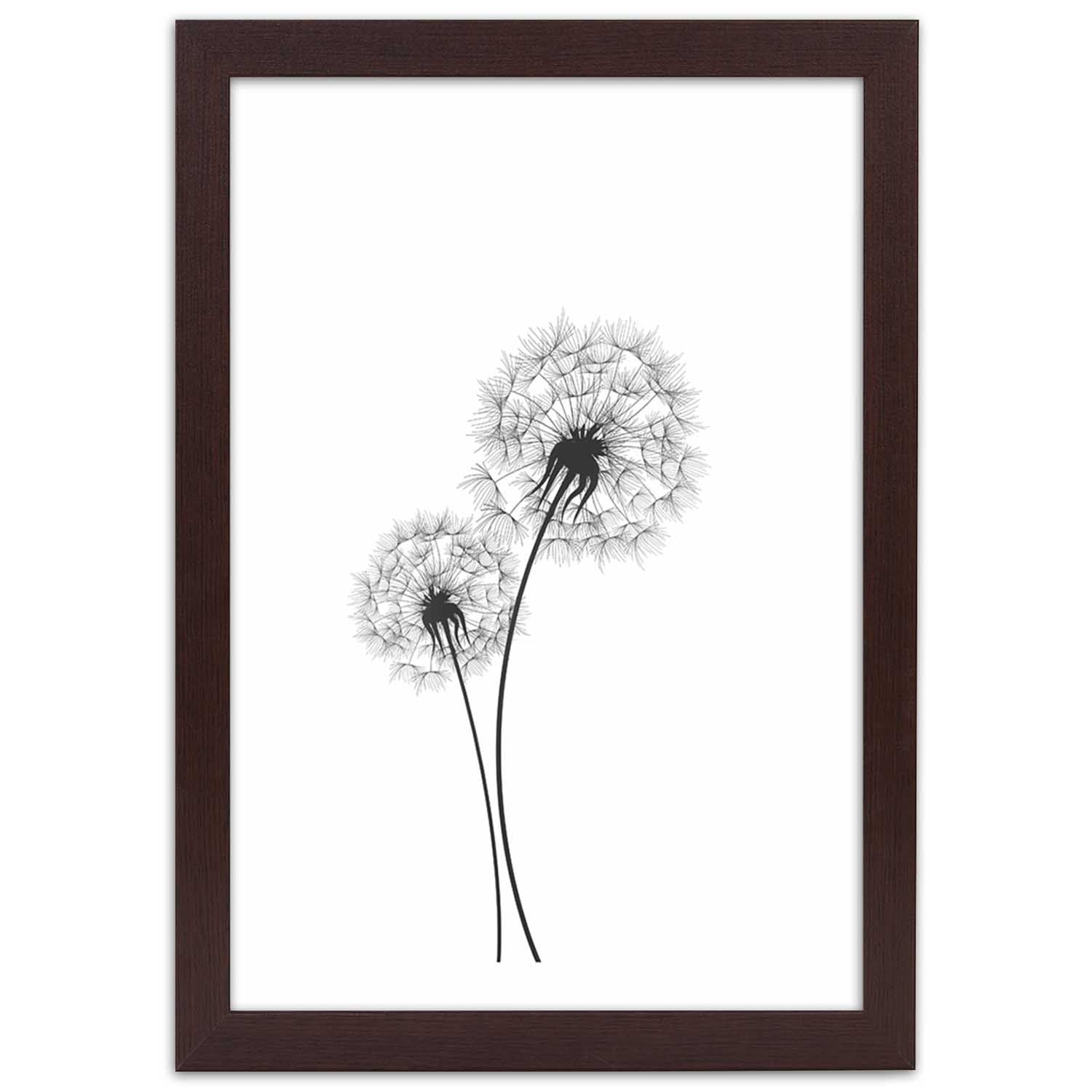 Picture in frame, Drawn two dandelions