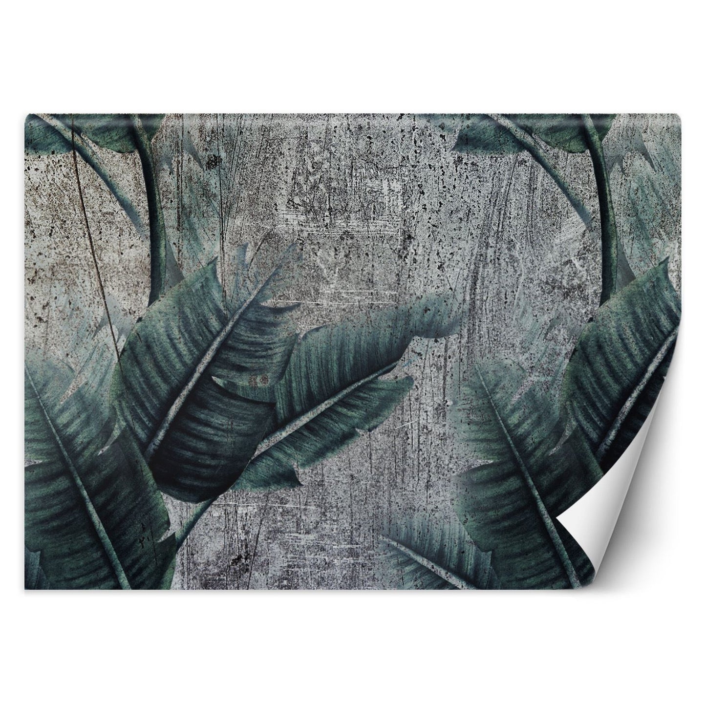 Wallpaper, Exotic leaves on grey background