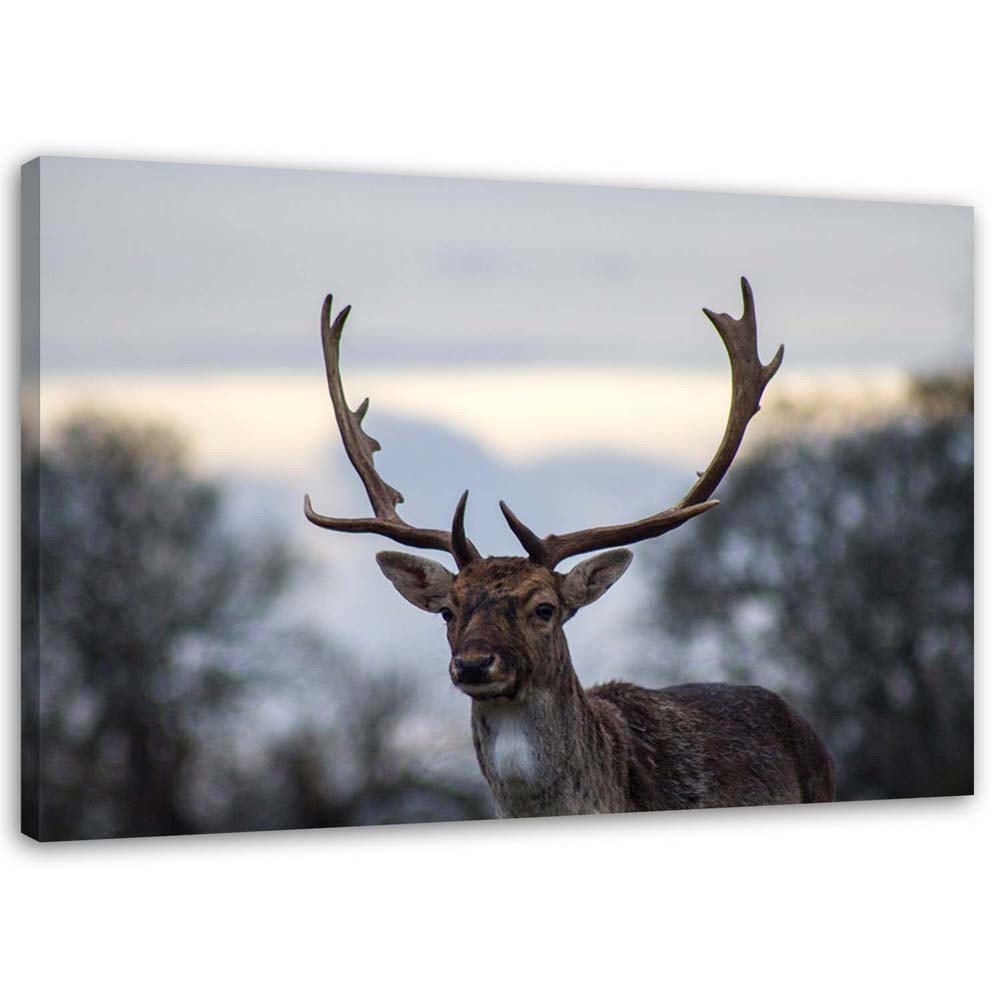 Canvas, Deer