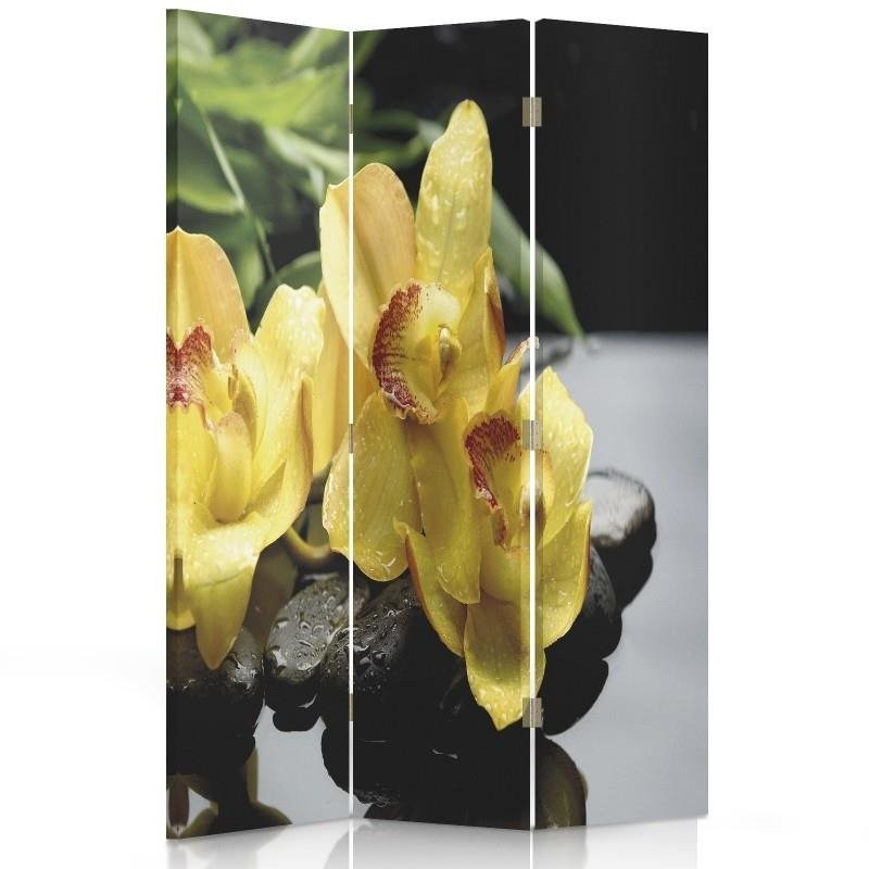 Room divider, Black of yellow orchid