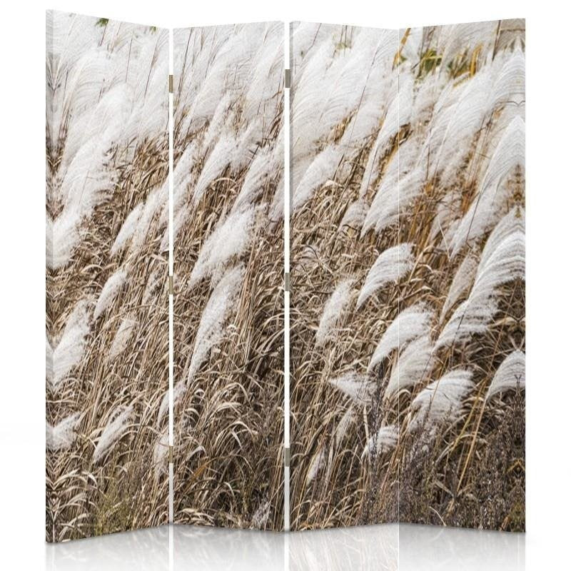 Room divider, Pampas grass