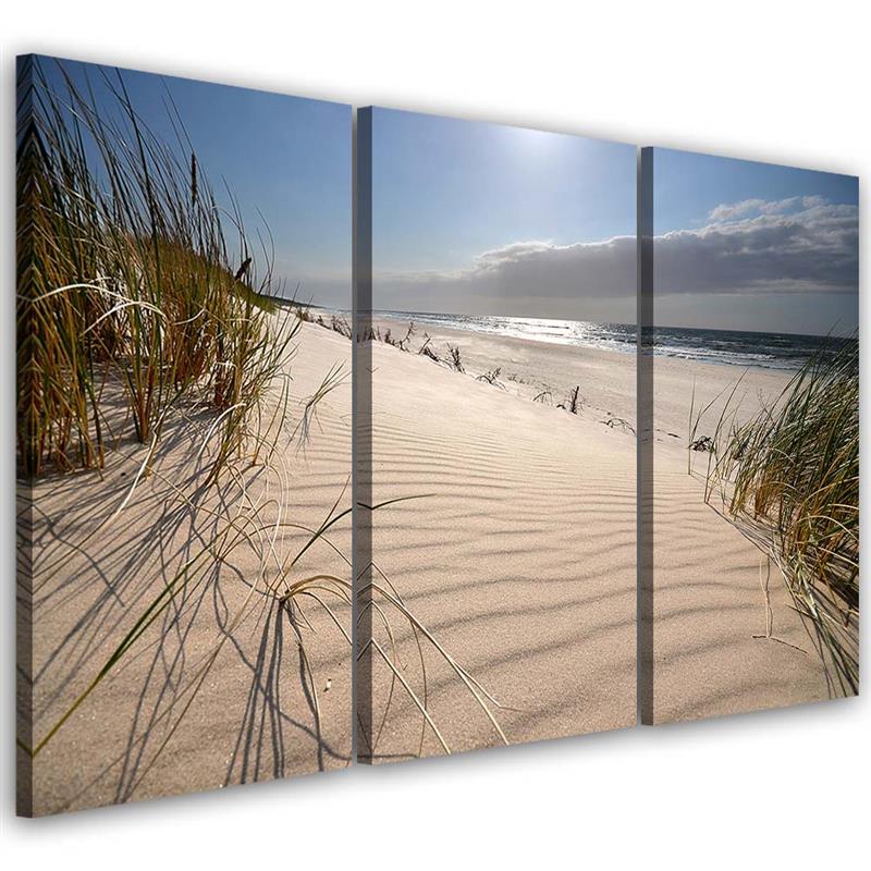 Canvas, Dunes on a beach