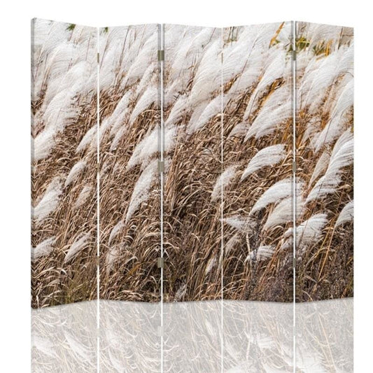 Room divider, Pampas grass