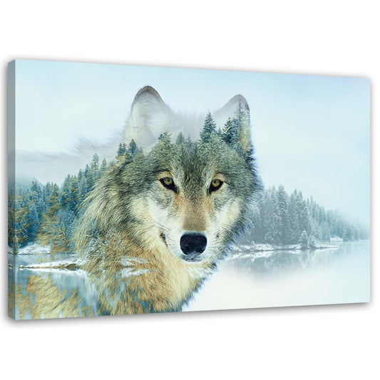 Canvas, Wolf on a mountain background