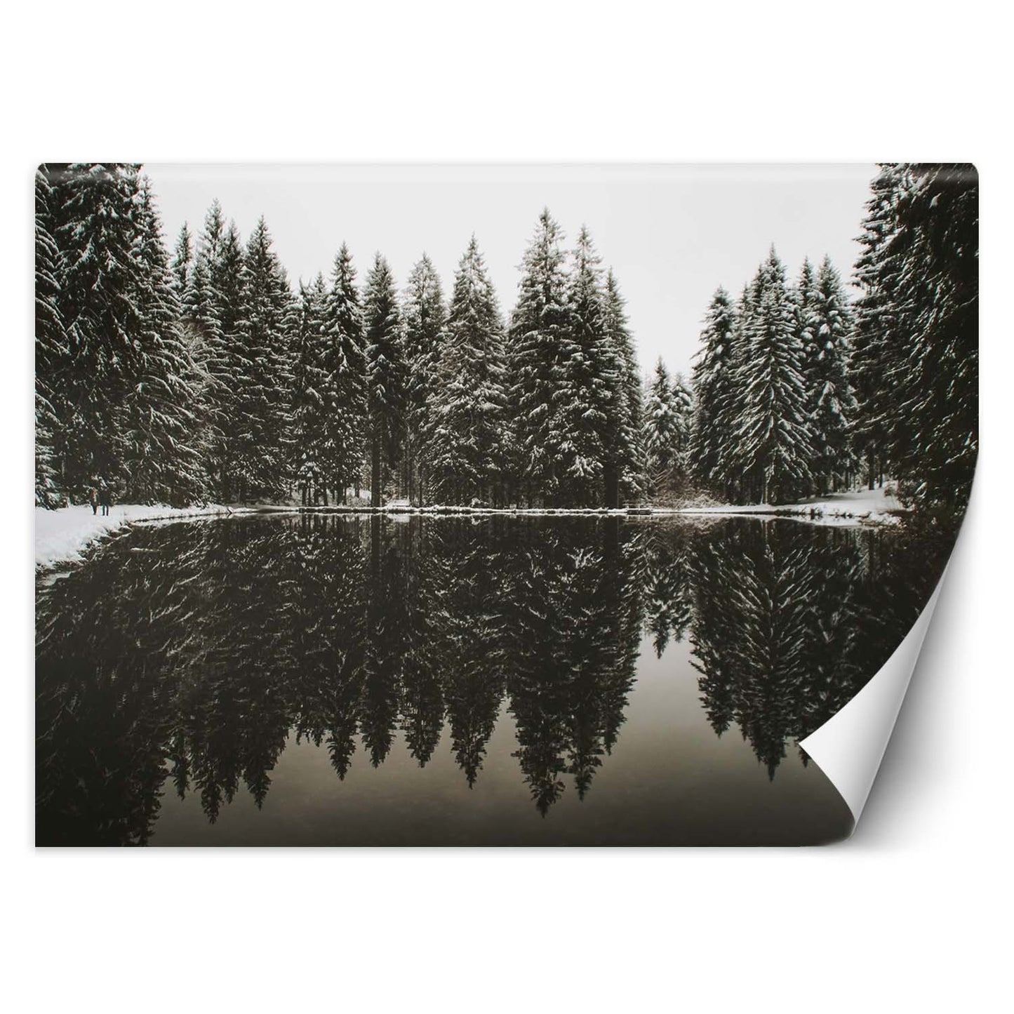 Wallpaper, Lake in the forest in winter