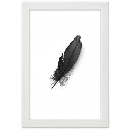 Picture in frame, Black feather