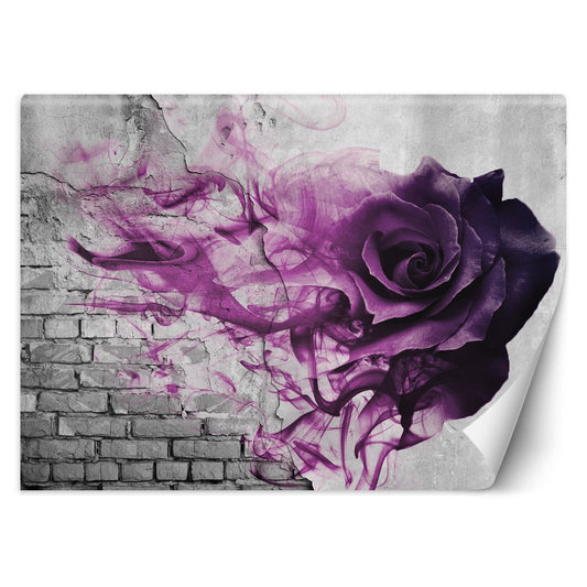 Wallpaper, Violet rose