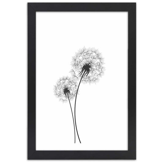 Picture in frame, Drawn two dandelions