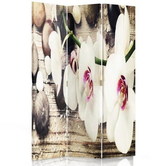 Room divider, The discreet charm of orchids