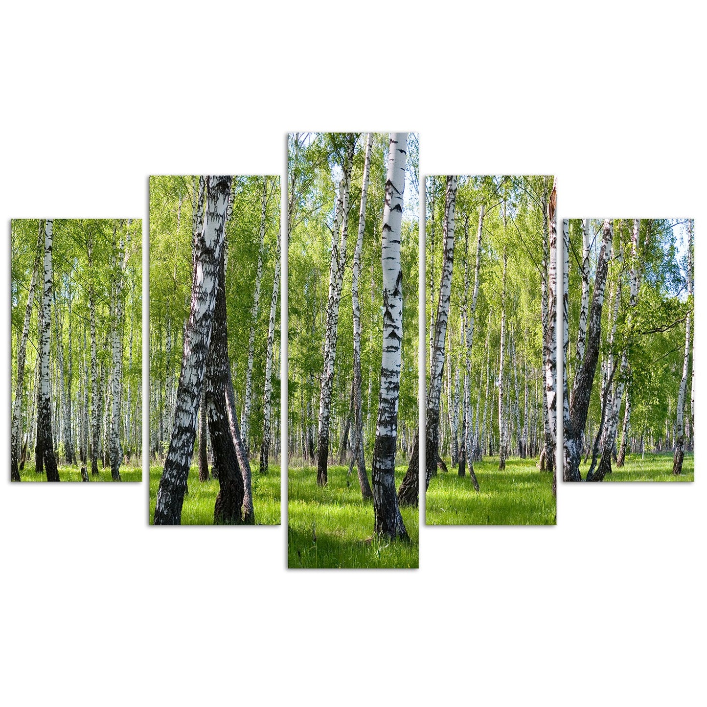 Deco panel, Birch trees, 5 images