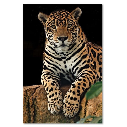 Paveikslas Ant Drobės Leopardas