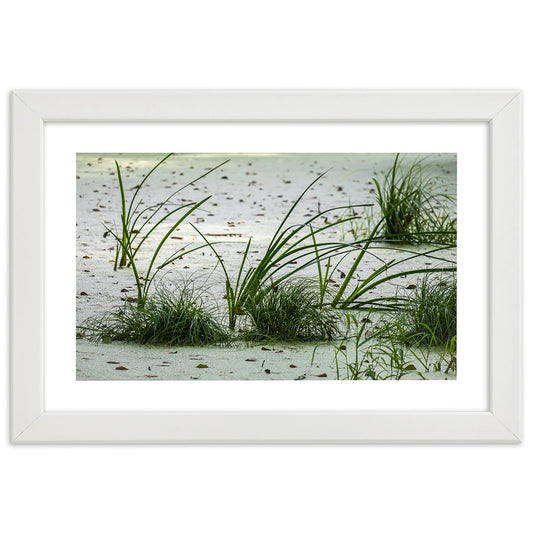 Picture in frame, Grasses on the beach