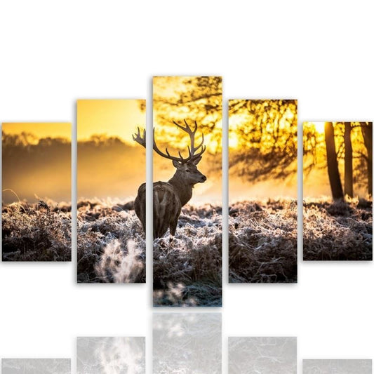 Canvas, Deer at sunset