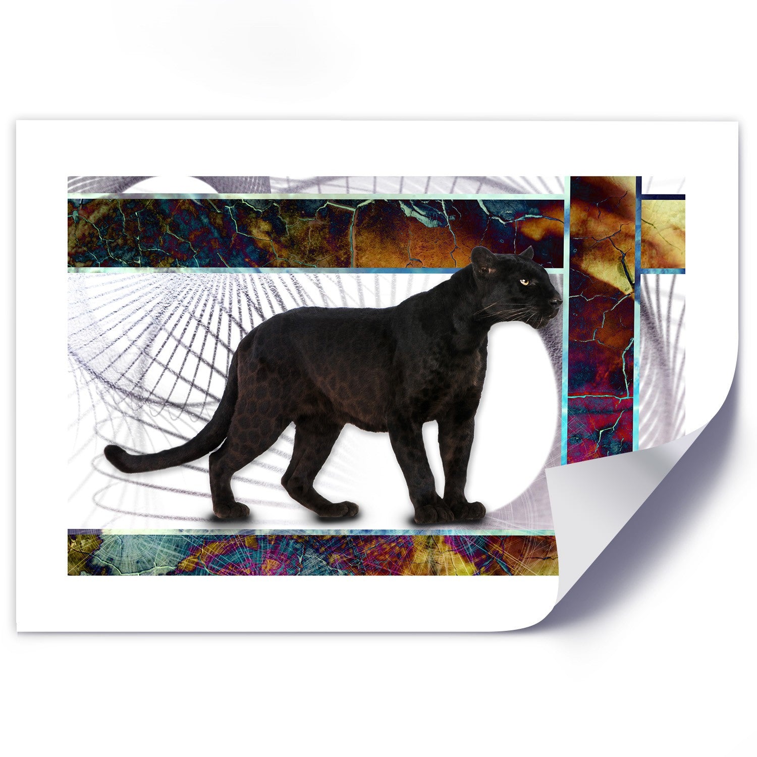 Poster, Attentive panther