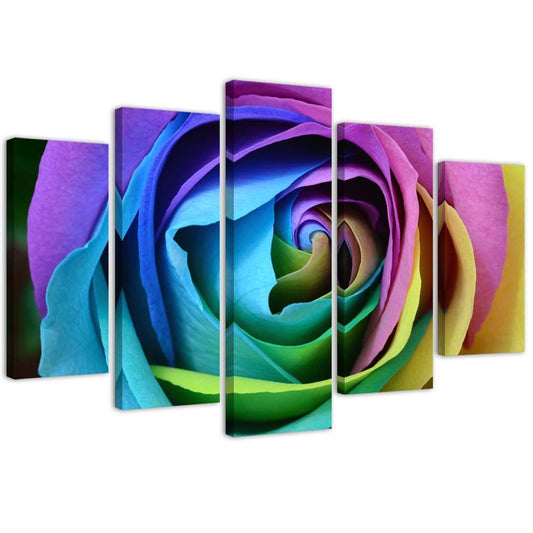 Canvas, Colourful rose