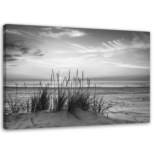 Canvas, Grasses on the beach - black and white