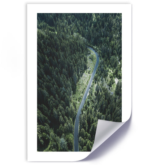 Poster, Road in the forest