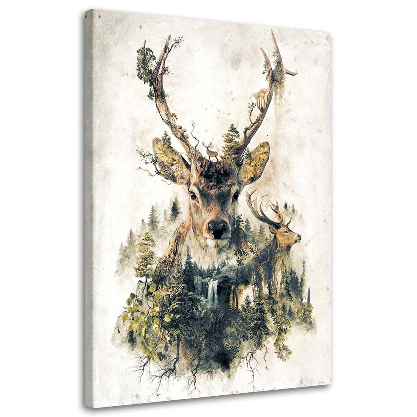 Canvas, Artistic deer