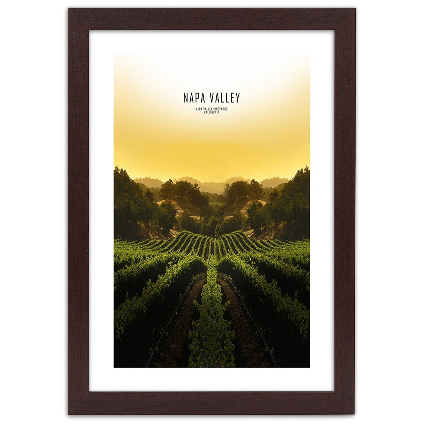 Picture in frame, Vineyards in napa vallley