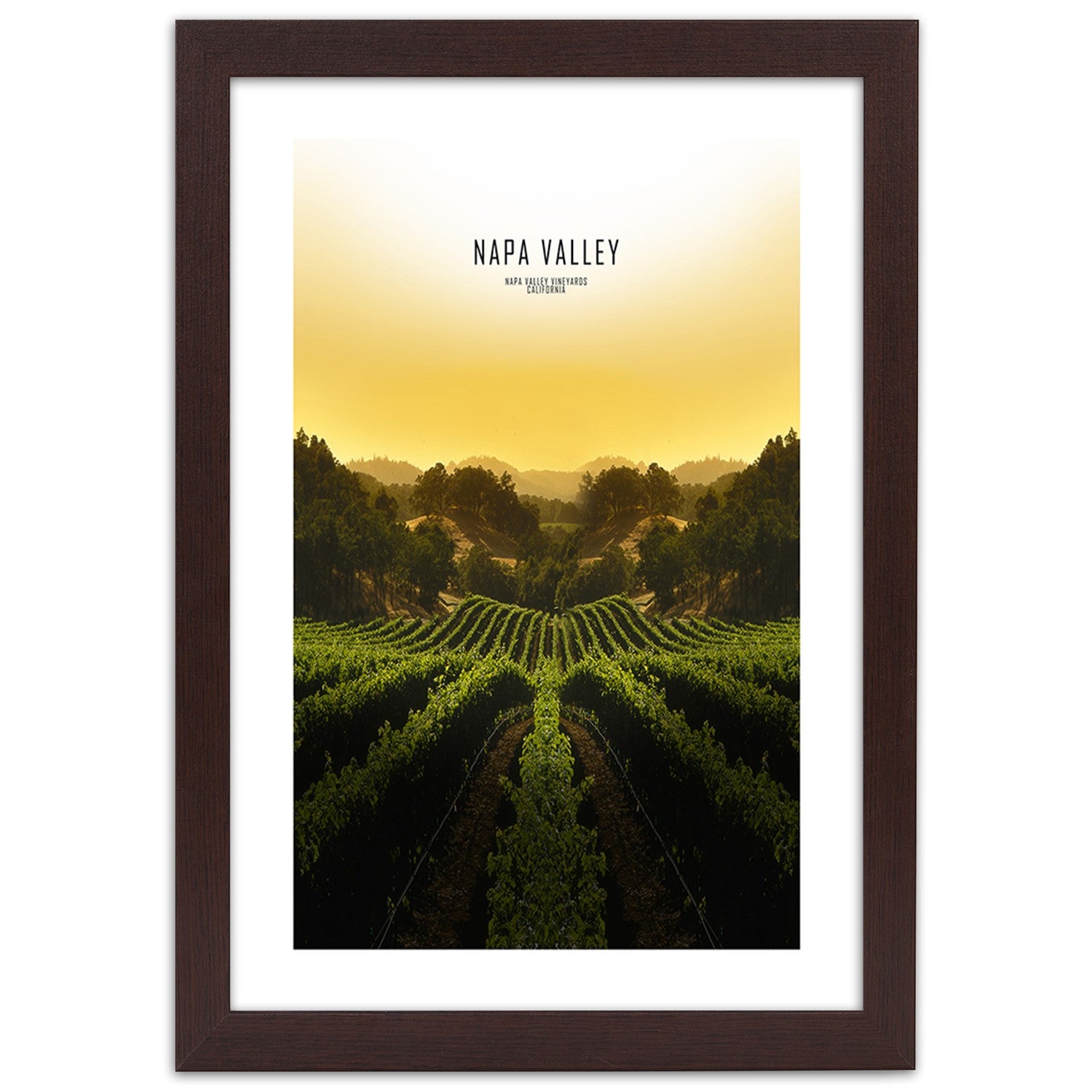 Picture in frame, Vineyards in napa vallley