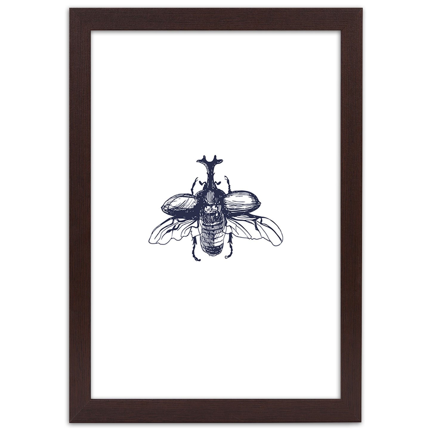 Picture in frame, Flying beetle