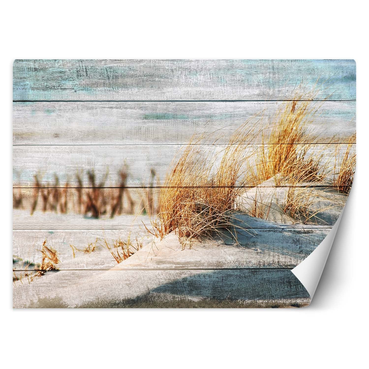 Wallpaper, Dunes, beach on the wood