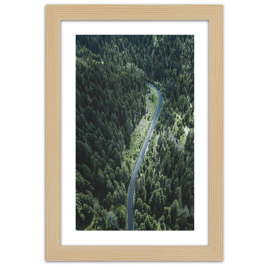 Picture in frame, Road in the forest