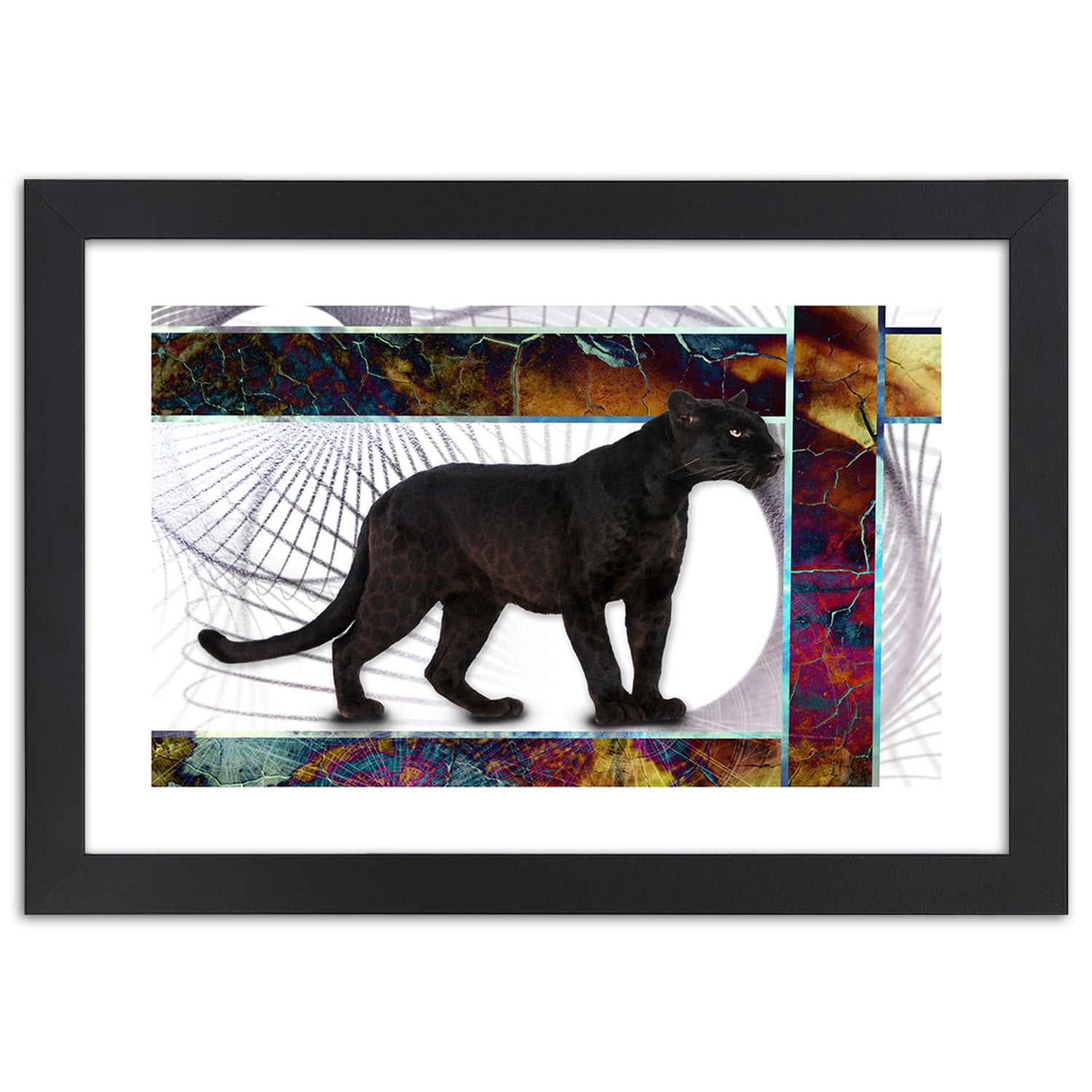 Picture in frame, Attentive panther